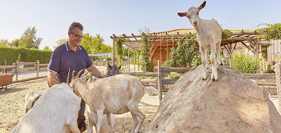 Top 4 des campings de luxe pas chers de la Vendée